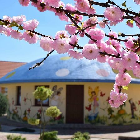 Demjeni Piramis Furdo Es Udulopark Hotell Exteriör bild