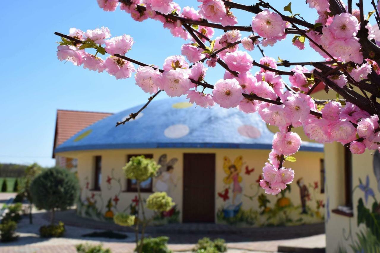 Demjeni Piramis Furdo Es Udulopark Hotell Exteriör bild